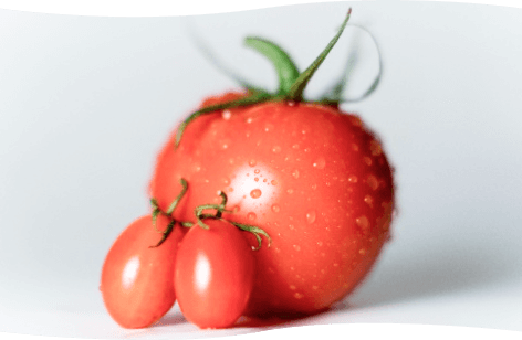 写真：トマト
